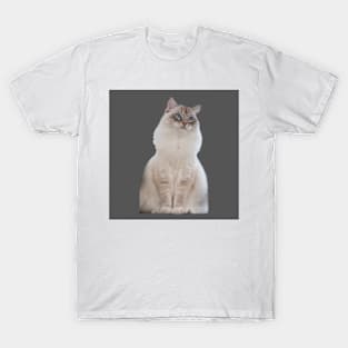 ragdoll T-Shirt